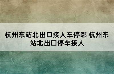 杭州东站北出口接人车停哪 杭州东站北出口停车接人